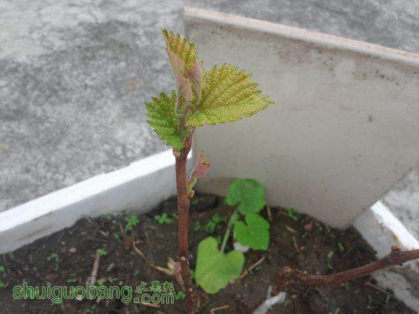 20150421_082328.jpg