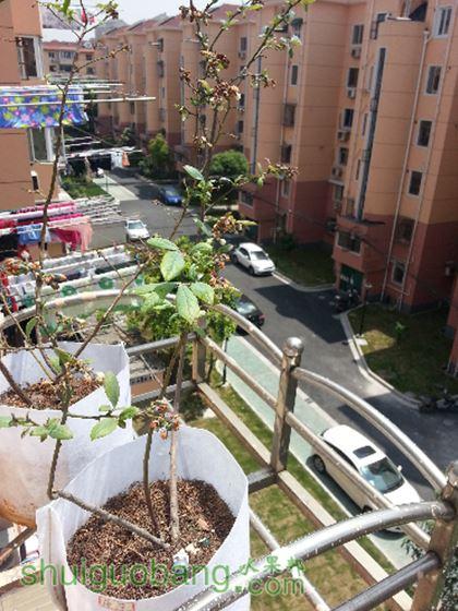 20150425_111531.jpg