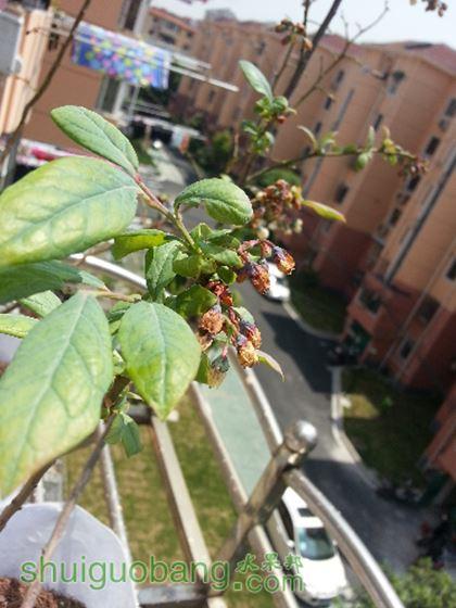 20150425_111524.jpg