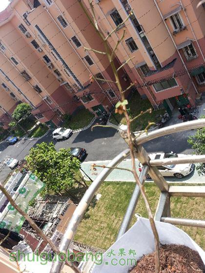 20150425_111413.jpg