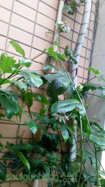 QQͼƬ20150426113901.jpg