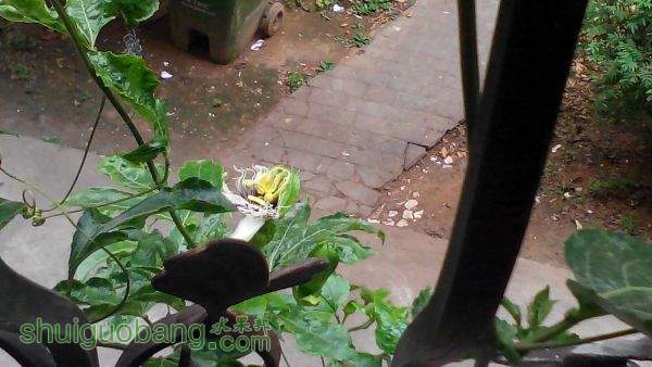 QQͼƬ20150426113935.jpg