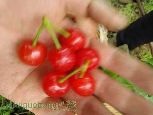 IMG20150425085631.jpg