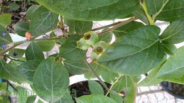 IMG_20150424_145422.jpg