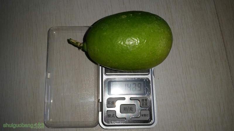 152655zwczon7rkr136cg1.jpg
