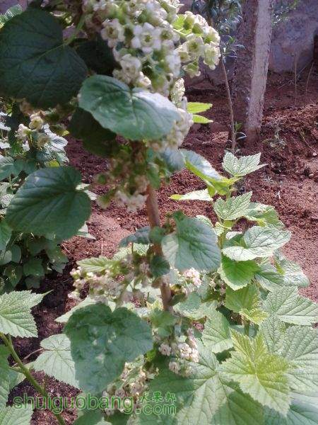 IMG_20150428_102720.jpg