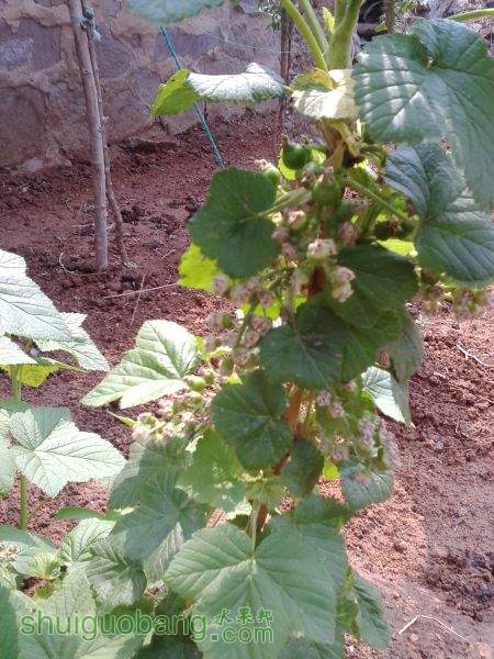 IMG_20150428_102728.jpg