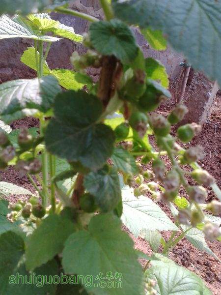 IMG_20150428_102735.jpg
