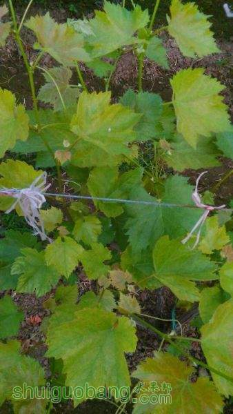 Cache_28094ef9cc73d985.jpg