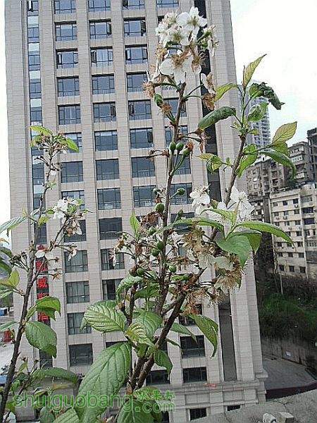 DSCI1253.JPG