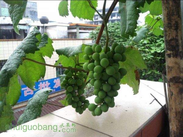 QQͼƬ20150429090418.jpg