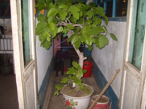 S1032540.JPG