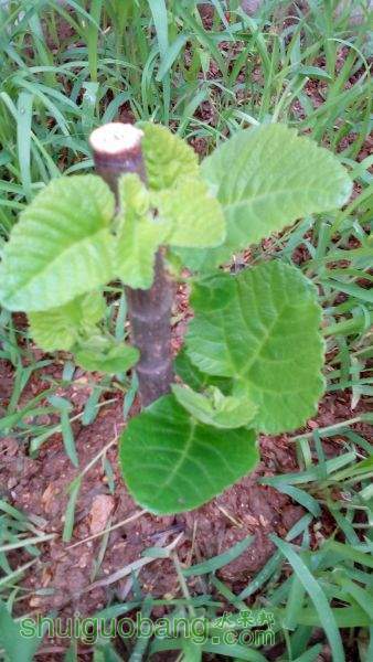 IMG_20150427_072455.jpg