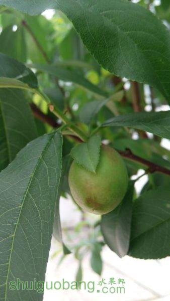 IMG_20150501_122713[1].jpg