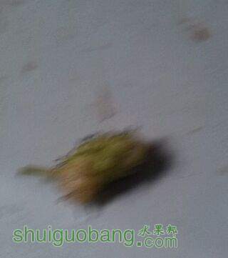 QQͼƬ20150502073910.jpg
