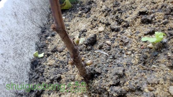 microMsg.1427776677159.jpg