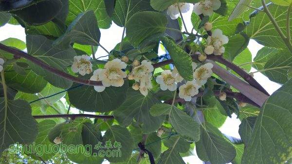 WP_20150430_07_05_07_Pro.jpg