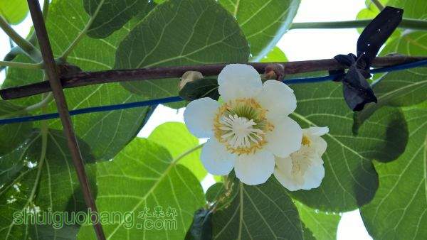WP_20150430_07_05_19_Pro.jpg