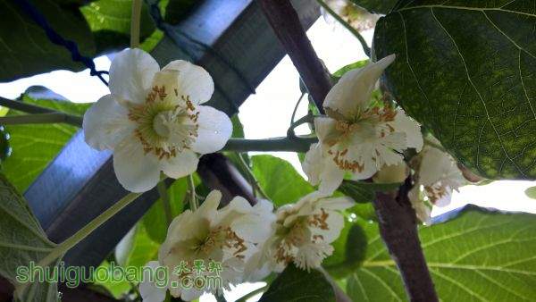 WP_20150430_07_06_29_Pro.jpg