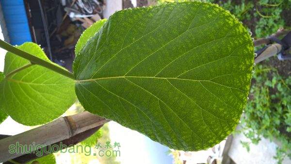 WP_20150430_07_07_14_Pro.jpg