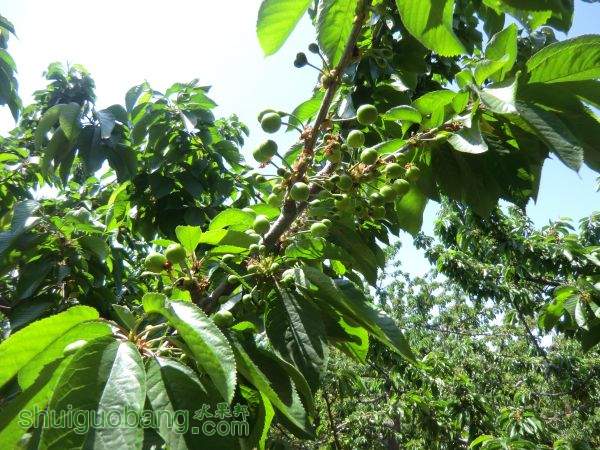 5��1���Լ����� (2).JPG