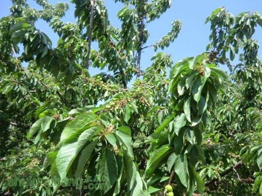 5��1���Լ����� (3).JPG