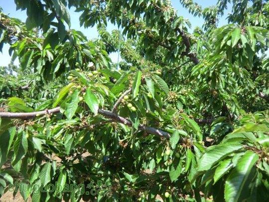 5��1���Լ����� (9).JPG