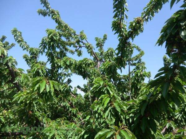 5��1���Լ����� (10).JPG