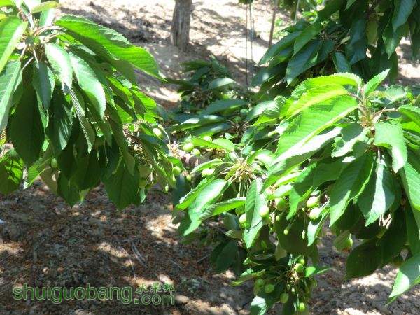 5��1���Լ����� (11).JPG