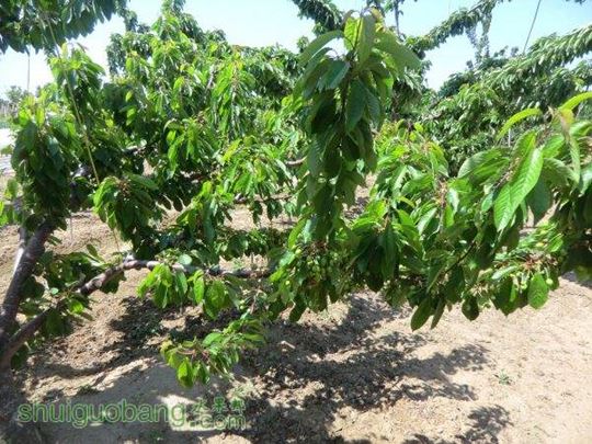 5��1���Լ����� (13).JPG