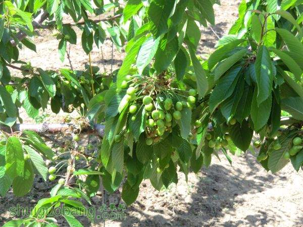 5��1���Լ����� (14).JPG