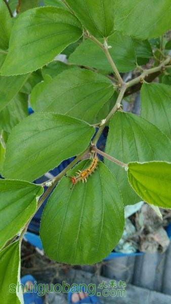 IMG_20150501_062633.jpg