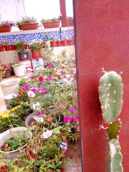 QQͼƬ20150504151539.jpg