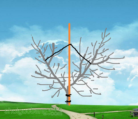 QQͼƬ20150504194754.png