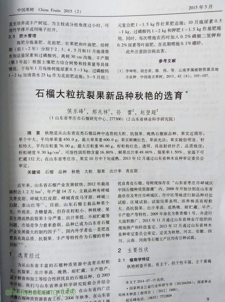 092954wfo5rksizzbrnois.jpg