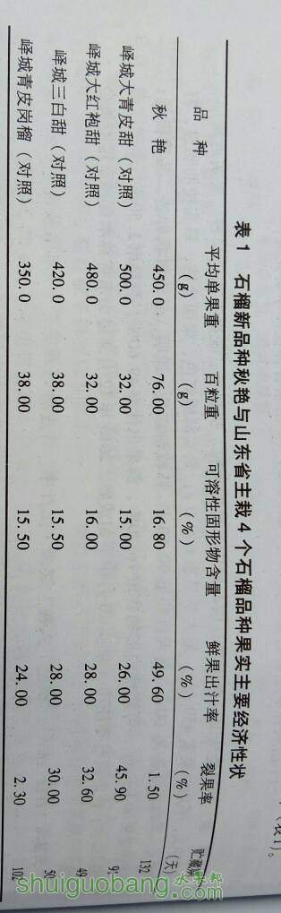 092955syuneo9cgukuk0zd.jpg