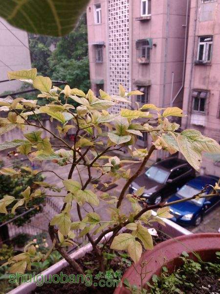IMG_20150508_112336.jpg
