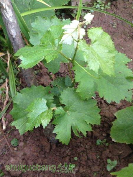 2015-05-08 191831.jpg