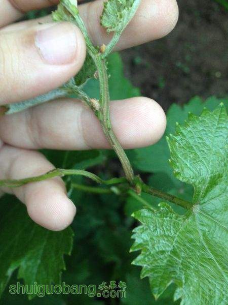 2015-05-08 191856.jpg