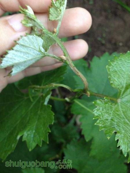 2015-05-08 191904.jpg