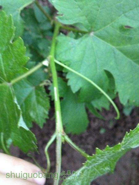 2015-05-08 191910.jpg