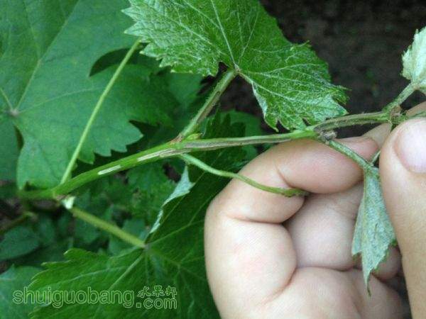 2015-05-08 191931.jpg