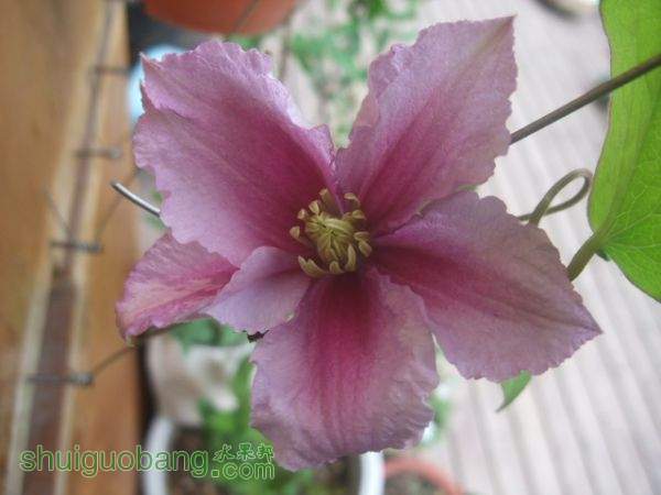 DSCF0194.JPG
