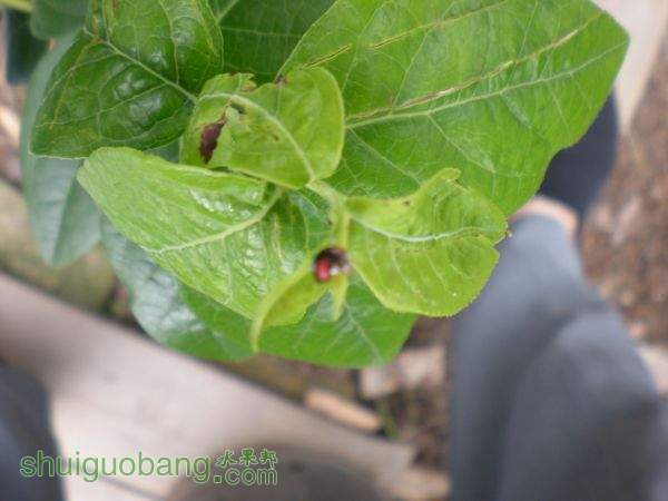 DSCN2956.JPG