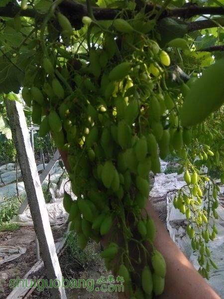 IMG_20150508_173940.jpg