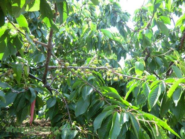 5��10�Ŵ�ӣ�� (4).JPG