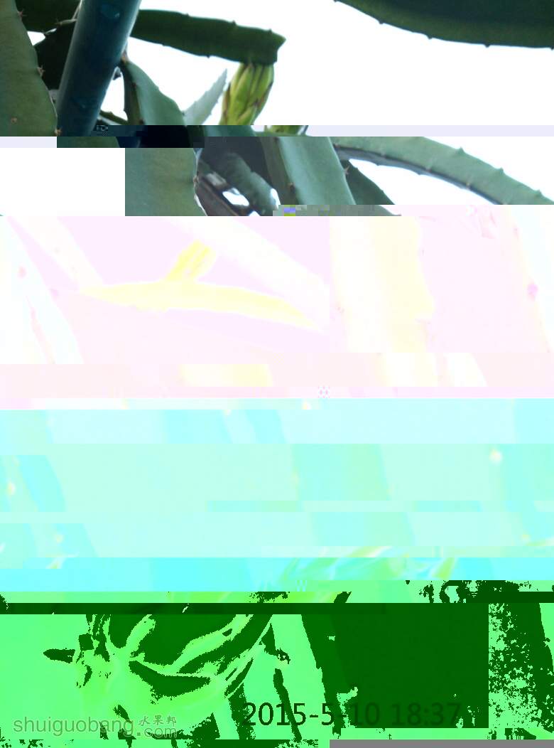 183924ldrcmtgccbaoqcgy.jpg