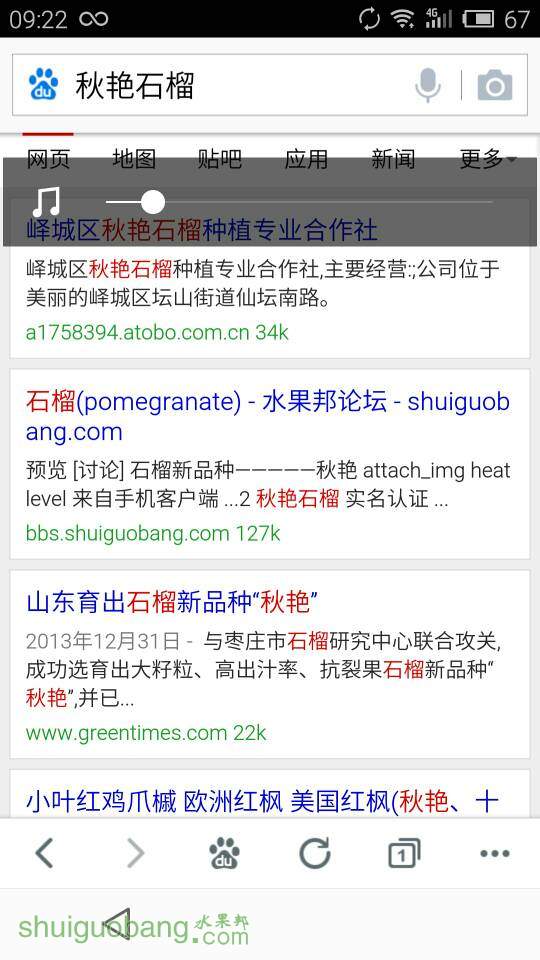 092343tp5qag7kpzgq7r8q.jpg