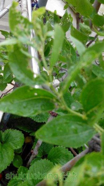 IMG_20150509_132214.jpg