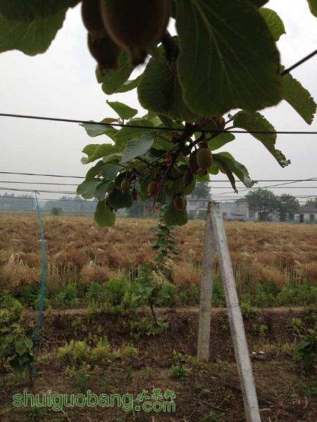 QQͼƬ20150510220452.jpg